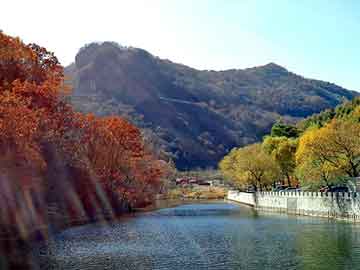 管家婆黑白马报图库，北培小猪